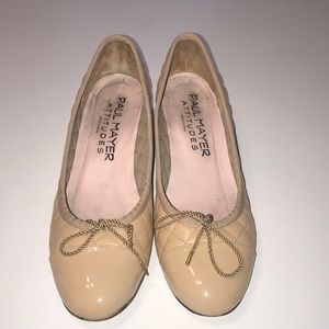 Paul Mayer ATTITUDES